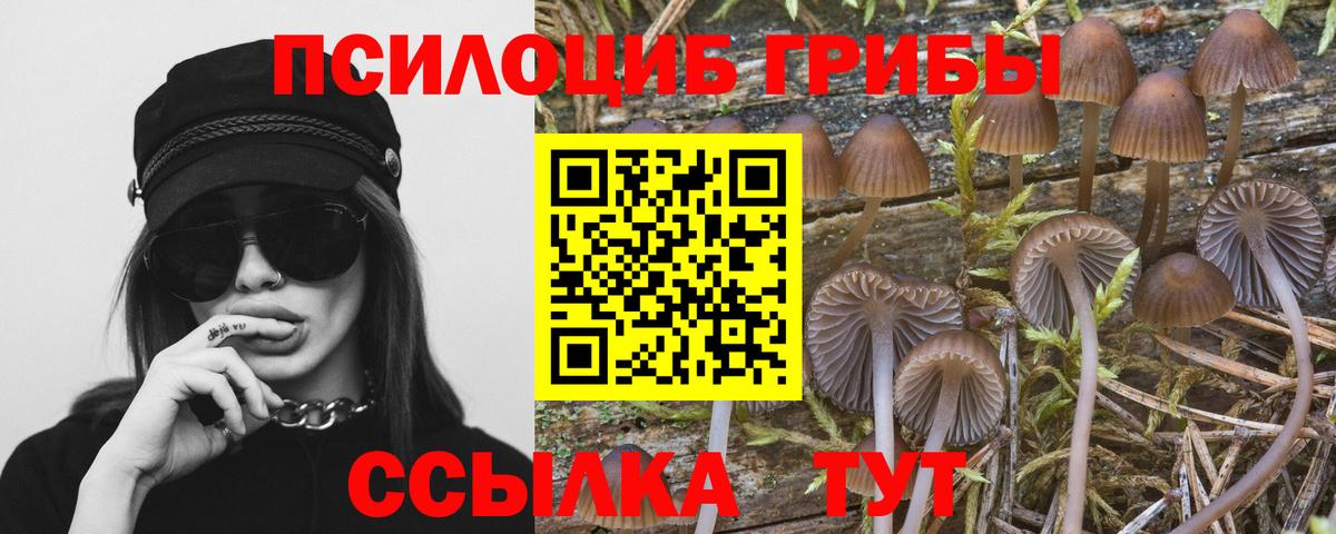 Псилоцибиновые грибы Psilocybine cubensis  Вход с VPN  купить  цена  Ачинск 